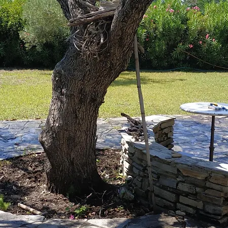 Sea Art House Сasa de vacaciones Kalogria (Sithonia)